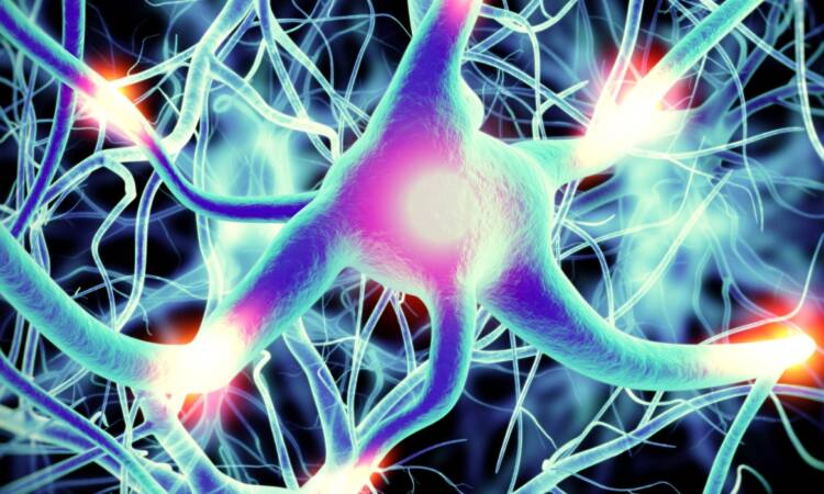 Nuovo Ambulatorio di Neurologia presso l'Istituto Galeno di Brindisi