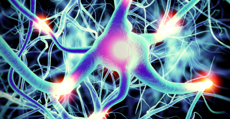 Neurologia